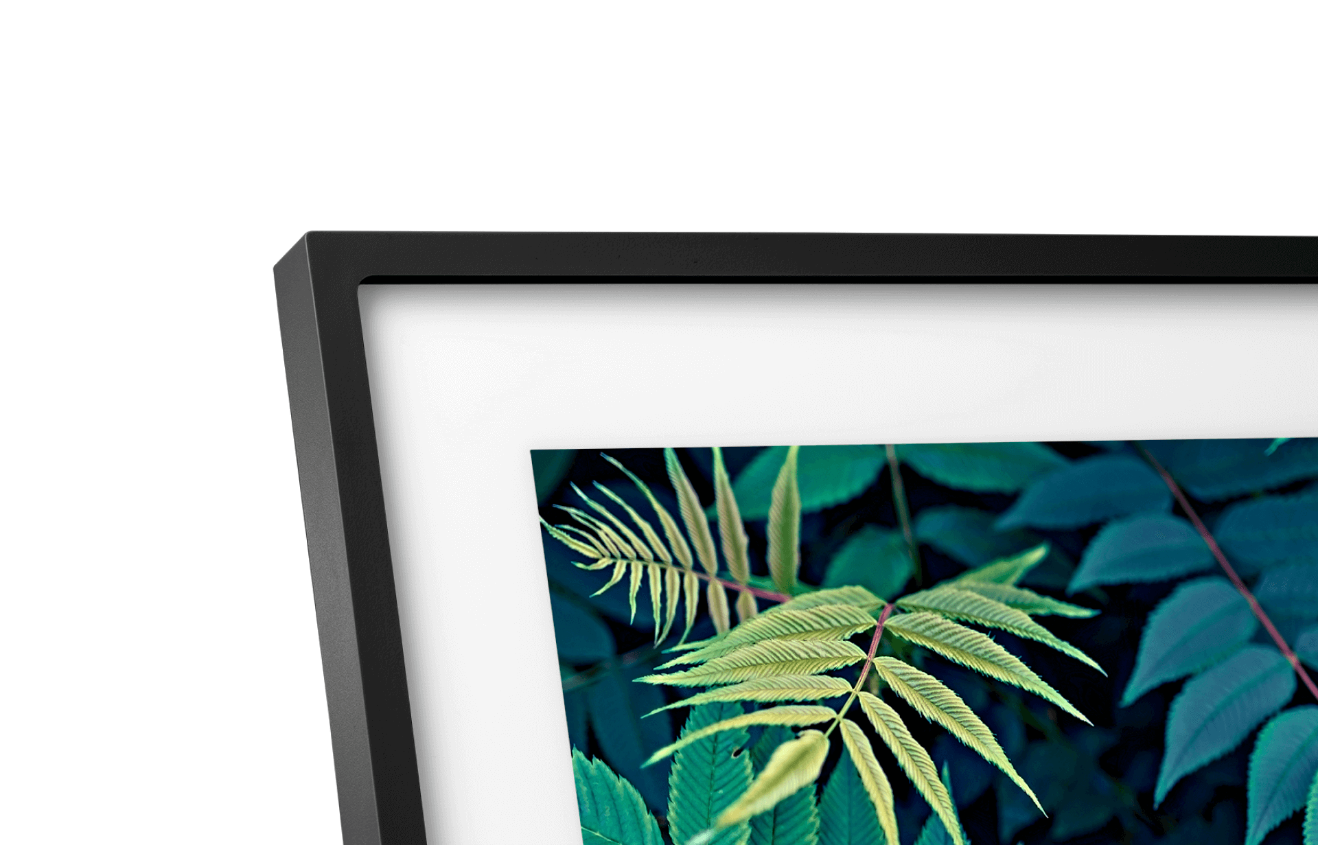 Classic Black Frame 2