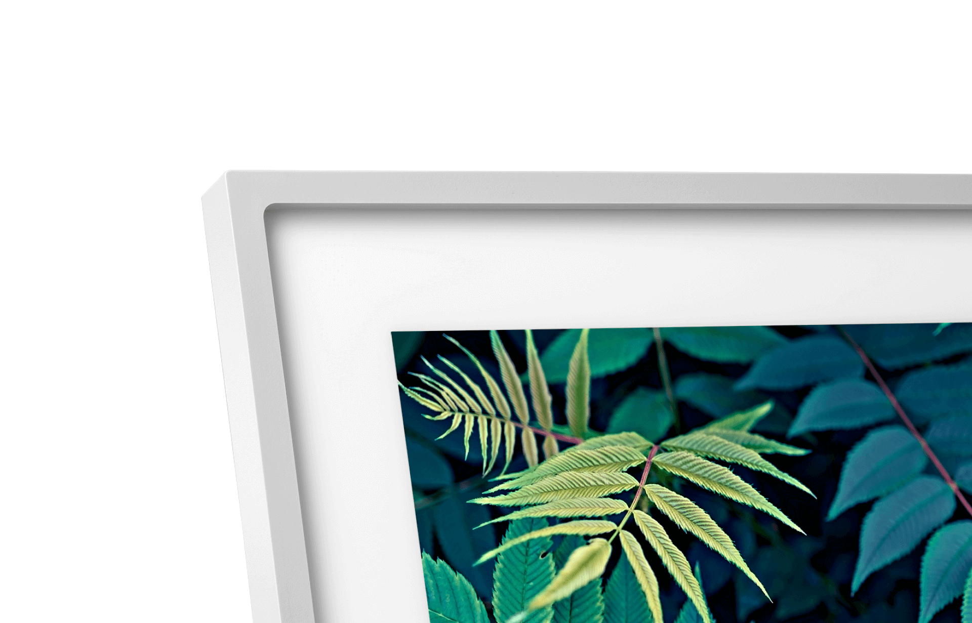 Classic White Frame 2