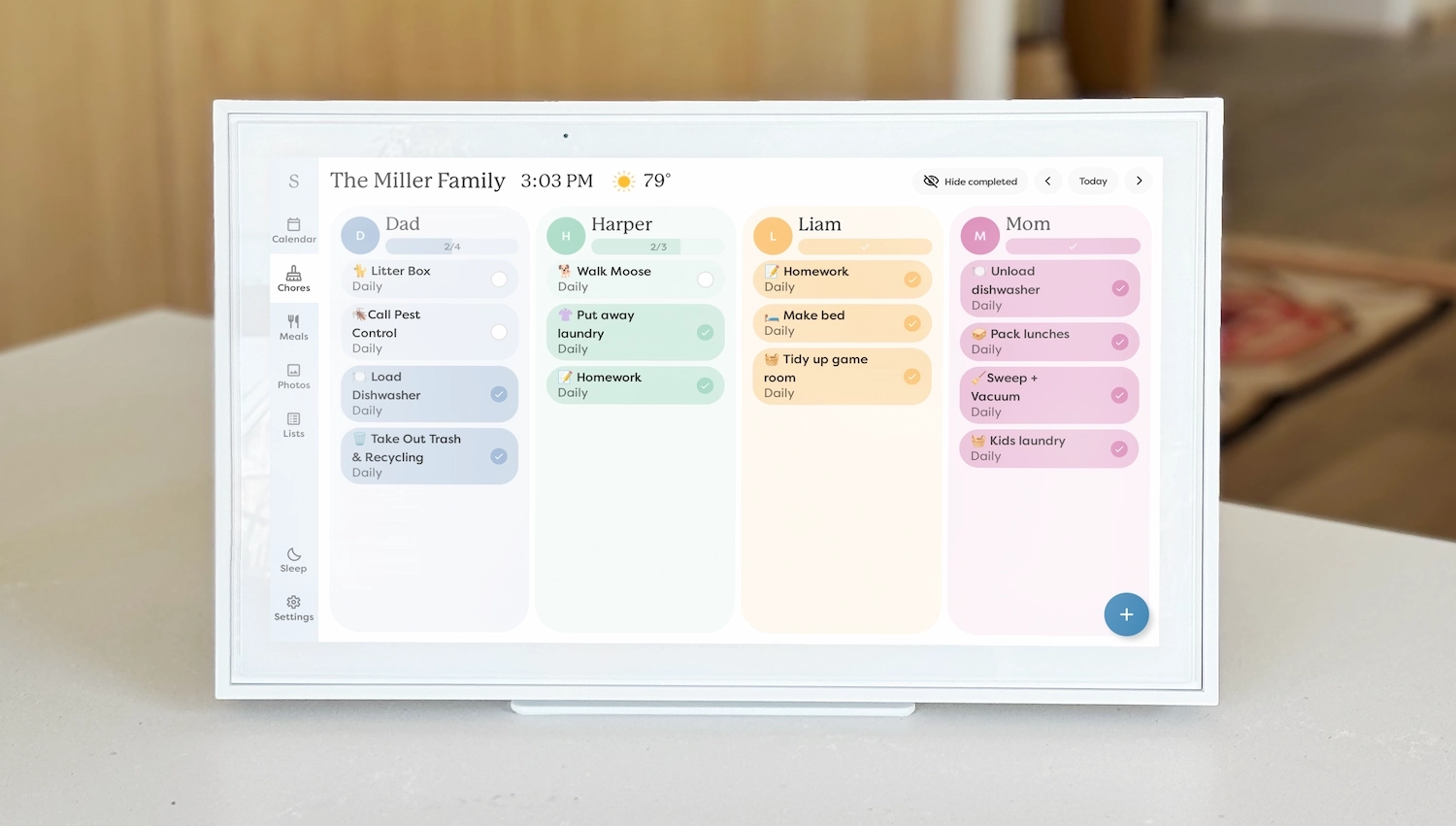 Skylight Calendar on day view