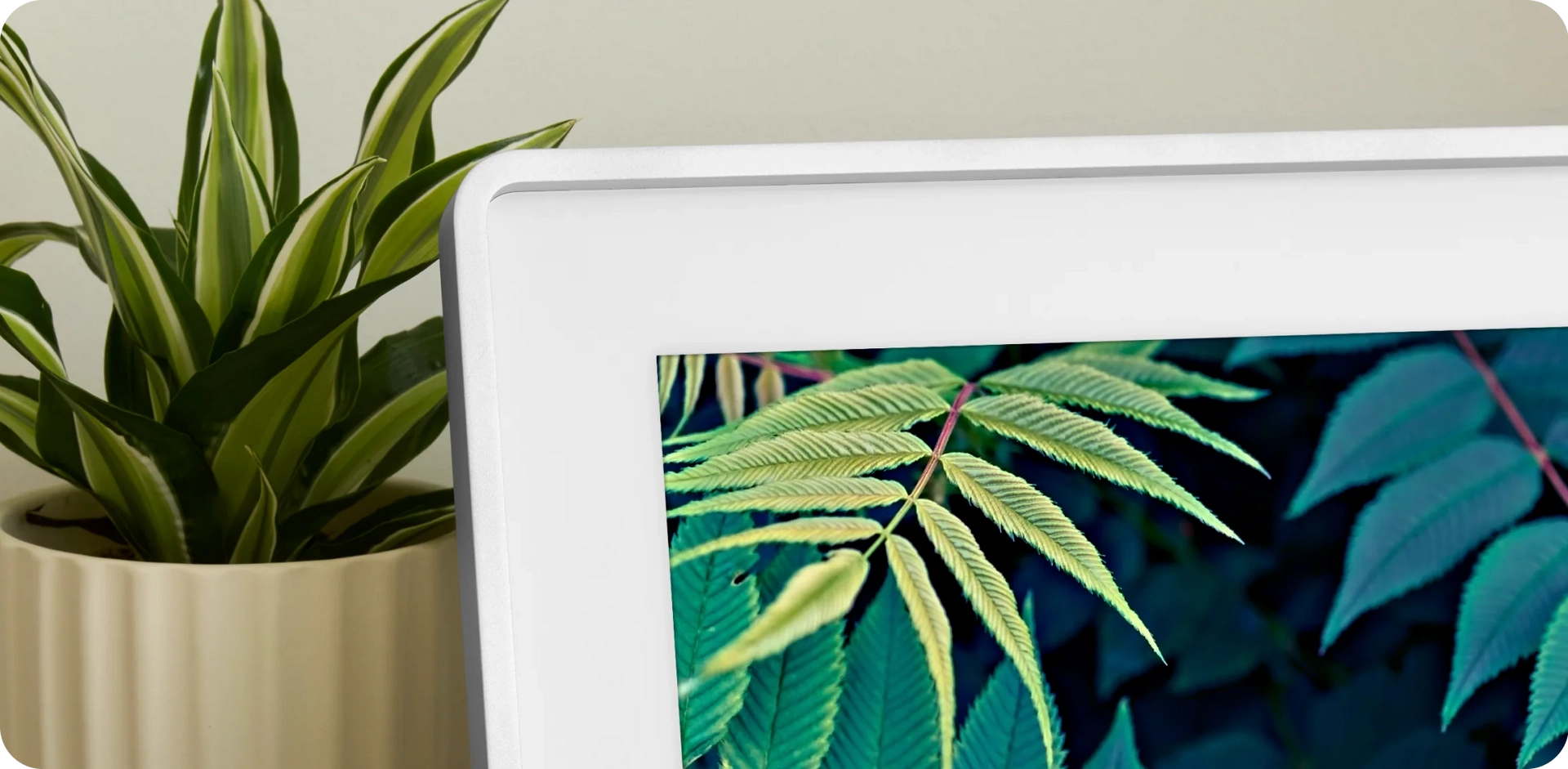 Close-up of a sleek digital display skylight frame 2 with vibrant green leaves in the background, beside a modern indoor plant in a beige pot